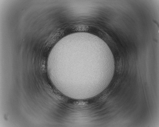 X0000103170553200809121903