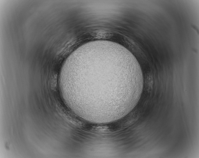 X0000103170554200809121903