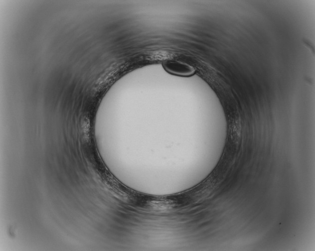 X0000103170556200809121903