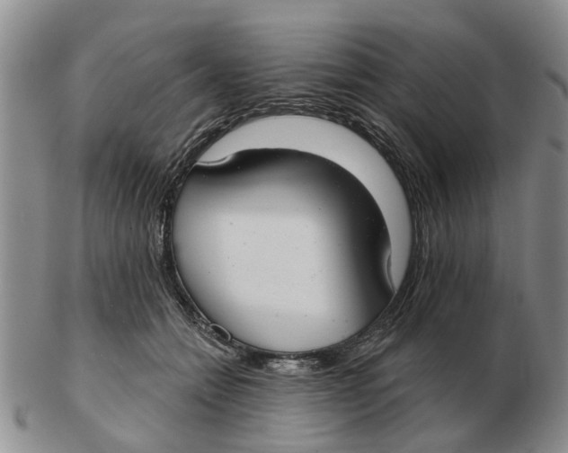 X0000103170558200809121903