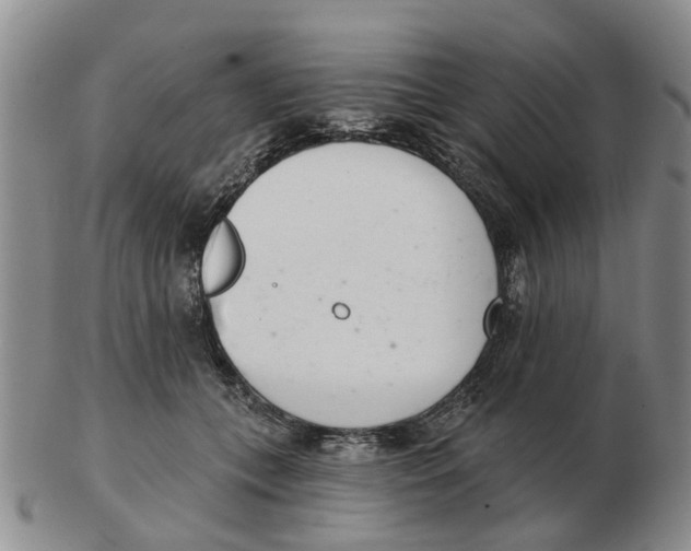 X0000103170559200809121903