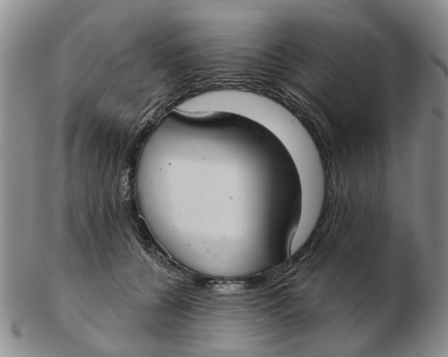 X0000103170560200809121903