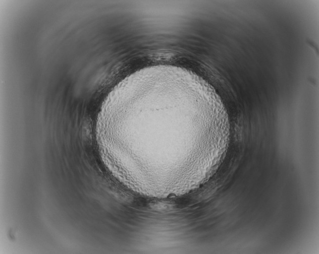 X0000103170561200809121903