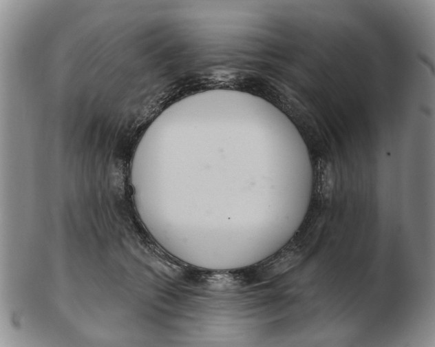 X0000103170562200809121903