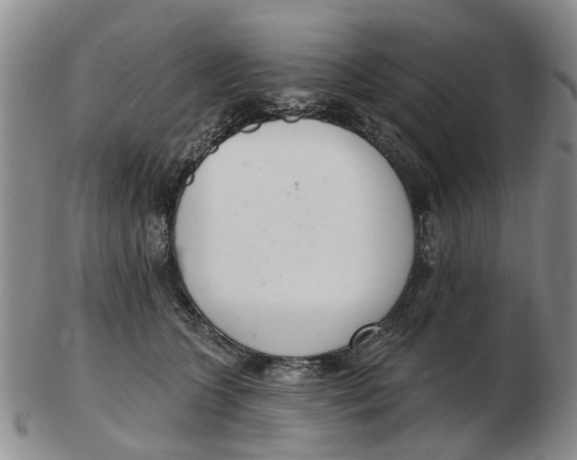 X0000103170563200809121903