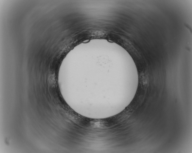 X0000103170564200809121903