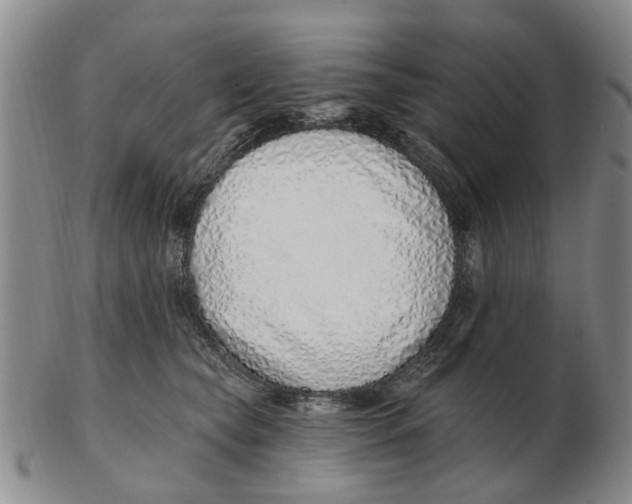 X0000103170565200809121903