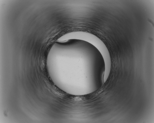 X0000103170566200809121903