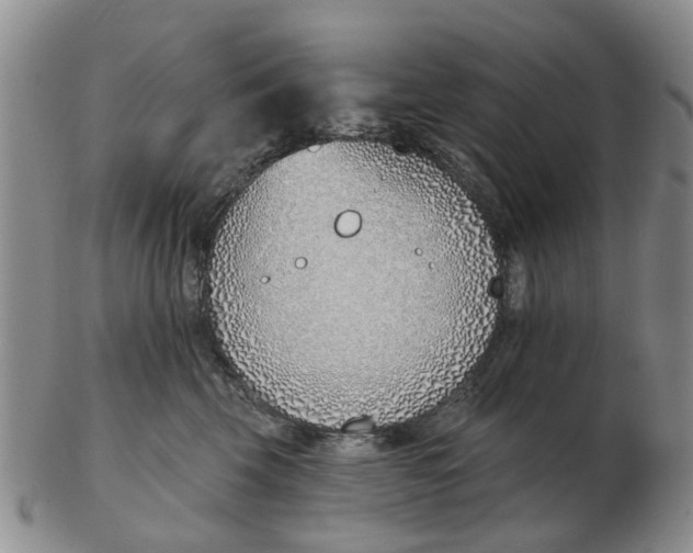 X0000103170569200809121903