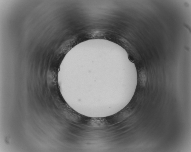 X0000103170571200809121903