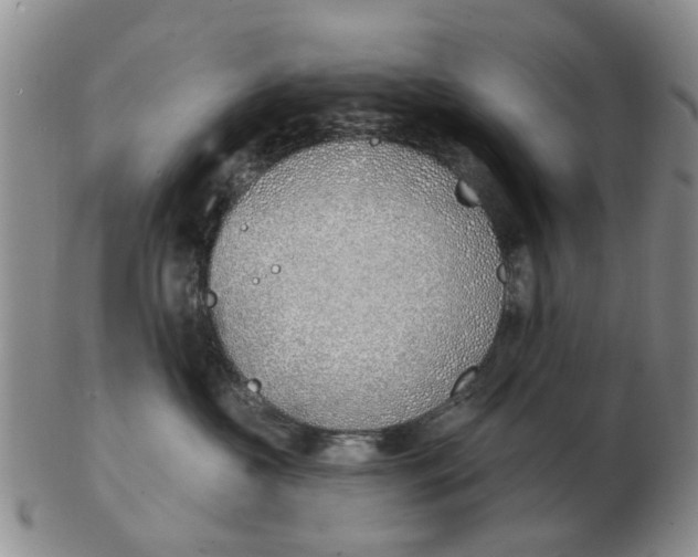 X0000103170573200809121903