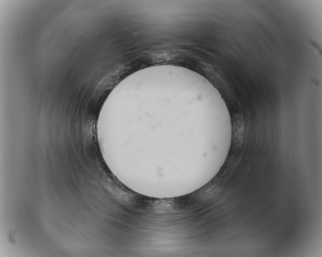 X0000103170574200809121903