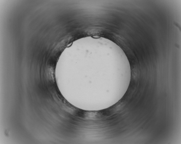 X0000103170575200809121903