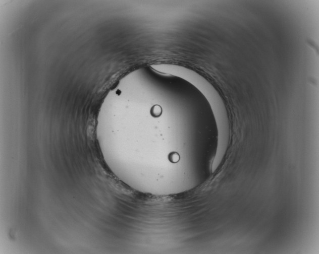 X0000103170576200809121903