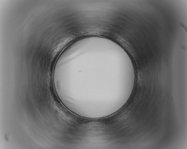 X0000103170578200809121903