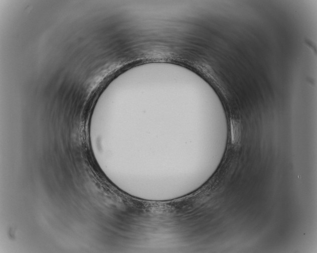 X0000103170579200809121903