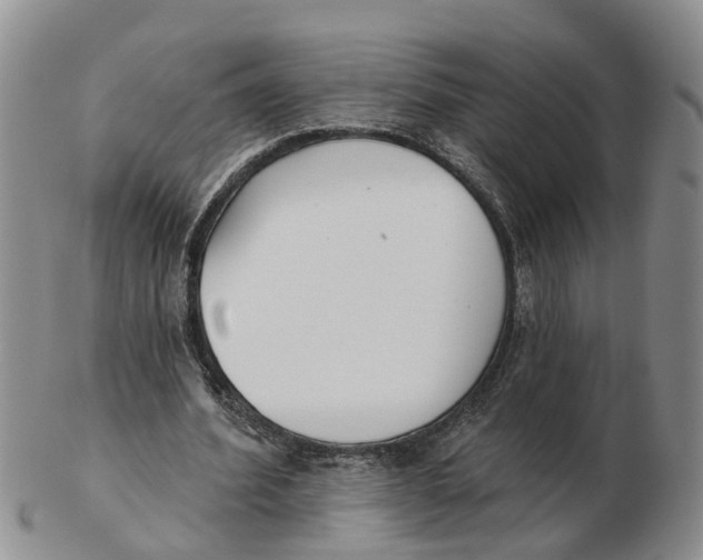 X0000103170580200809121903