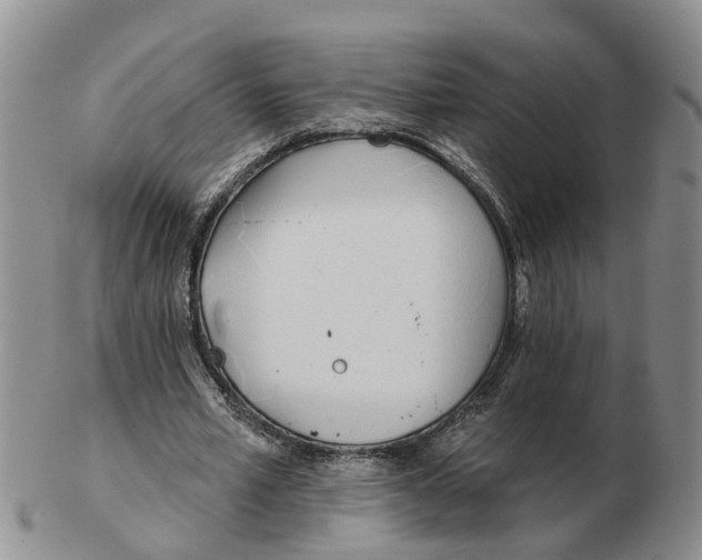 X0000103170581200809121903