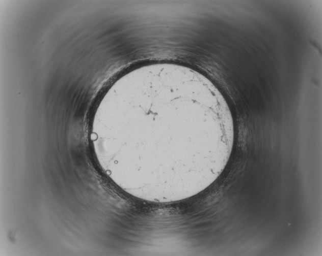 X0000103170584200809121902