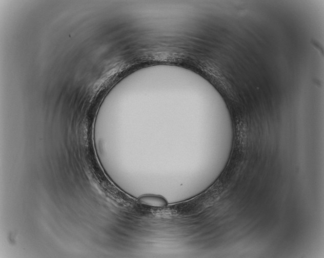 X0000103170587200809121902