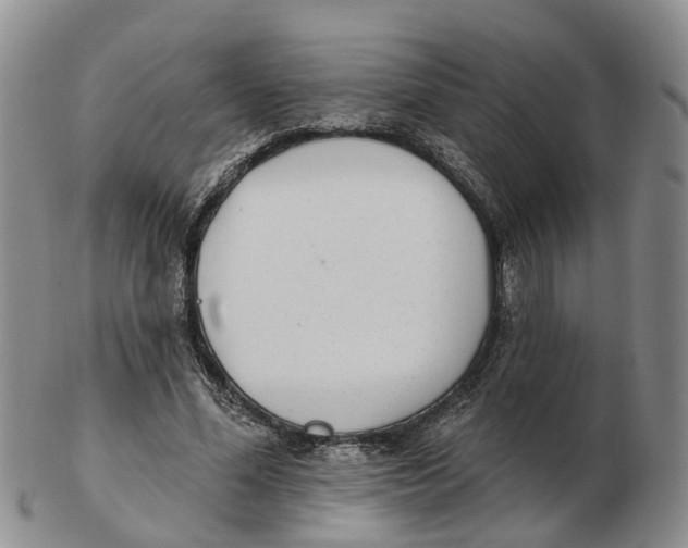 X0000103170588200809121902