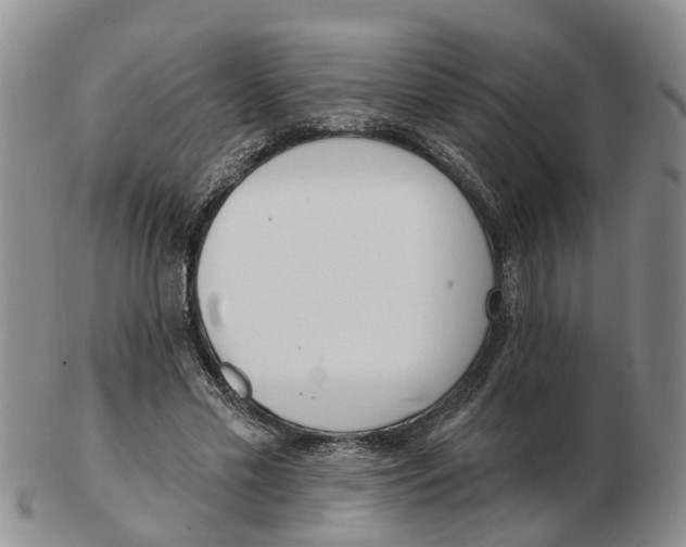 X0000103170589200809121902