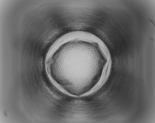 X0000103170590200809121902