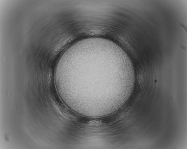 X0000103170591200809121902