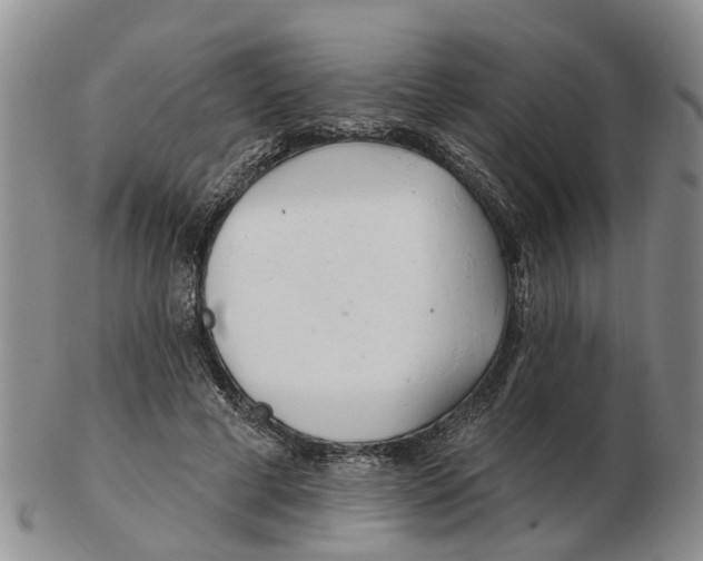 X0000103170593200809121902