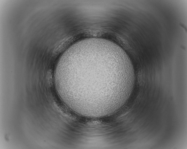 X0000103170594200809121902