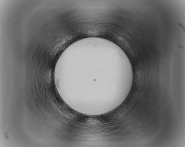 X0000103170596200809121902