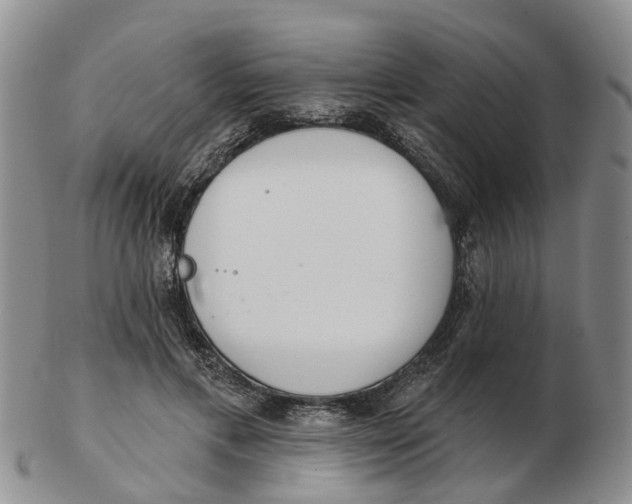 X0000103170597200809121902