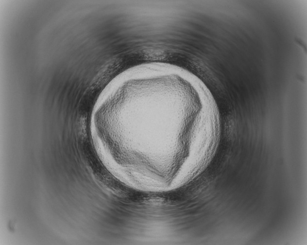 X0000103170598200809121902