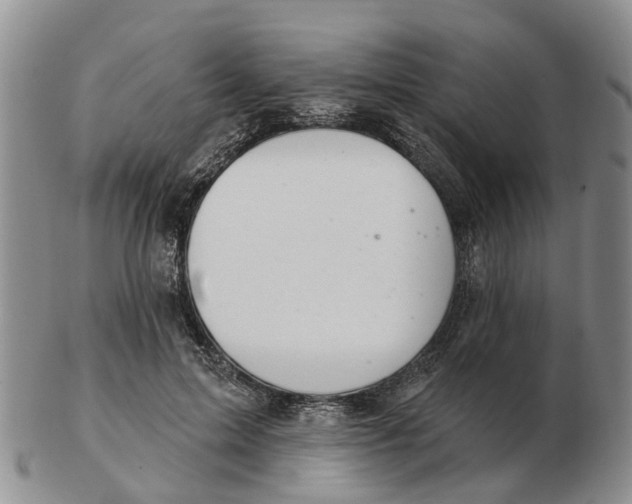 X0000103170599200809121902