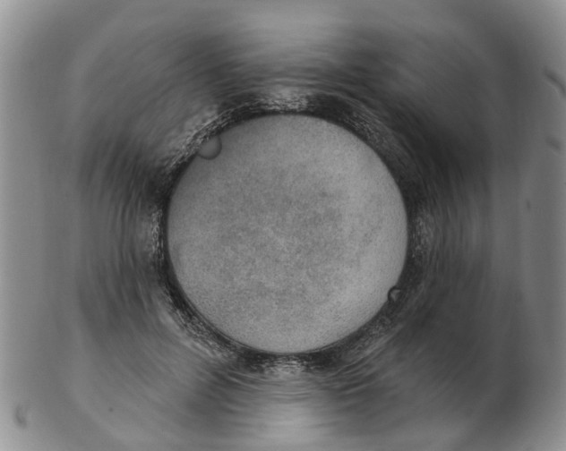 X0000103170600200809121902