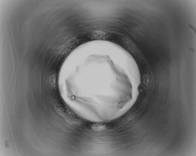 X0000103170602200809121902