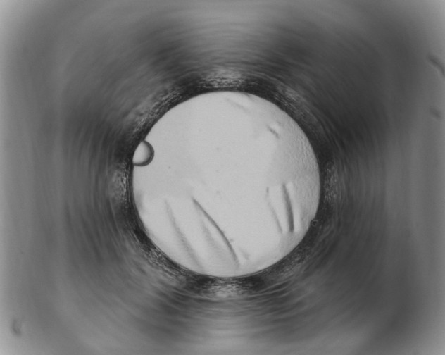 X0000103170604200809121902