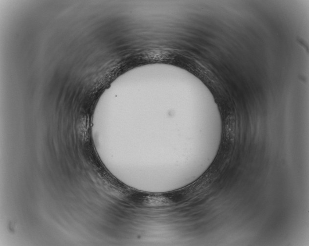 X0000103170605200809121902