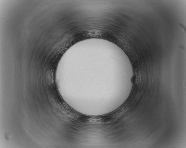 X0000103170606200809121902