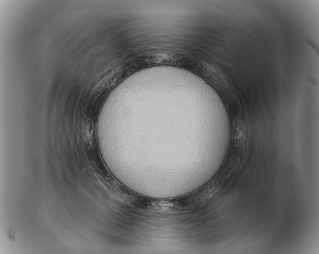 X0000103170607200809121902