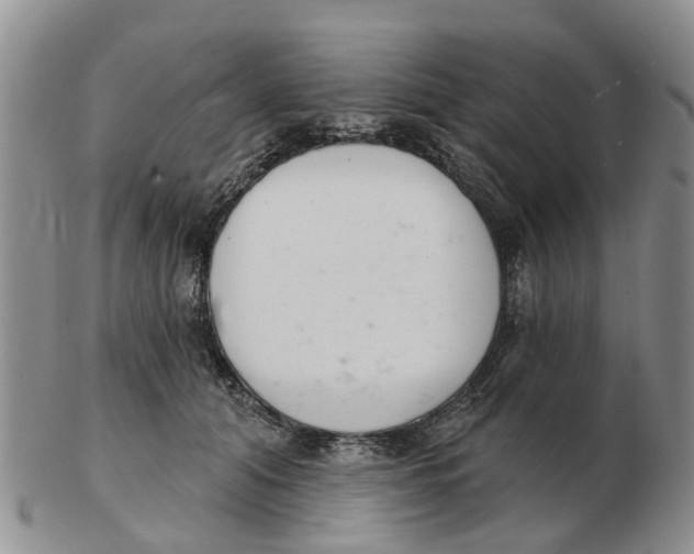 X0000103170608200809121902