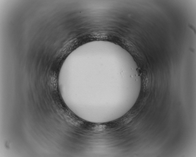 X0000103170609200809121902