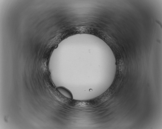 X0000103170611200809121902