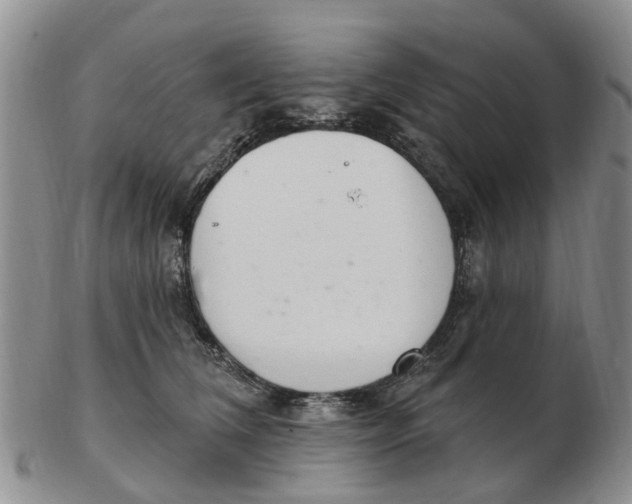 X0000103170612200809121902