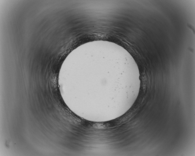 X0000103170613200809121902