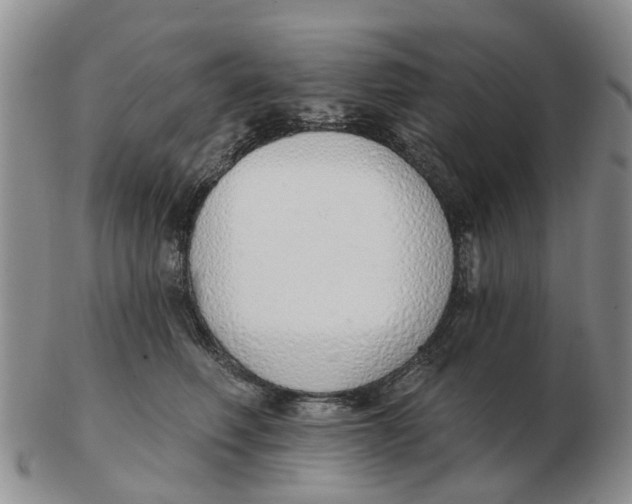 X0000103170614200809121902