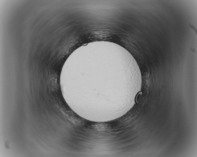 X0000103170615200809121902