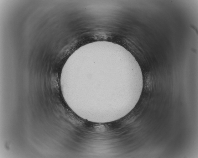 X0000103170616200809121902