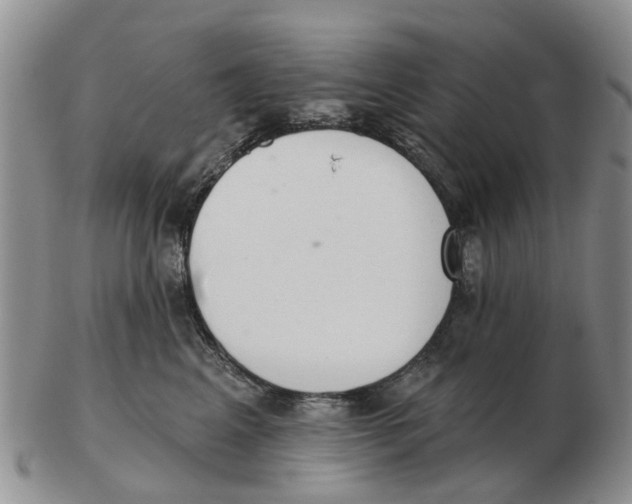 X0000103170617200809121902