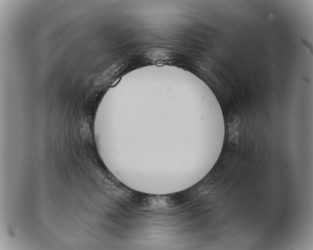 X0000103170618200809121902